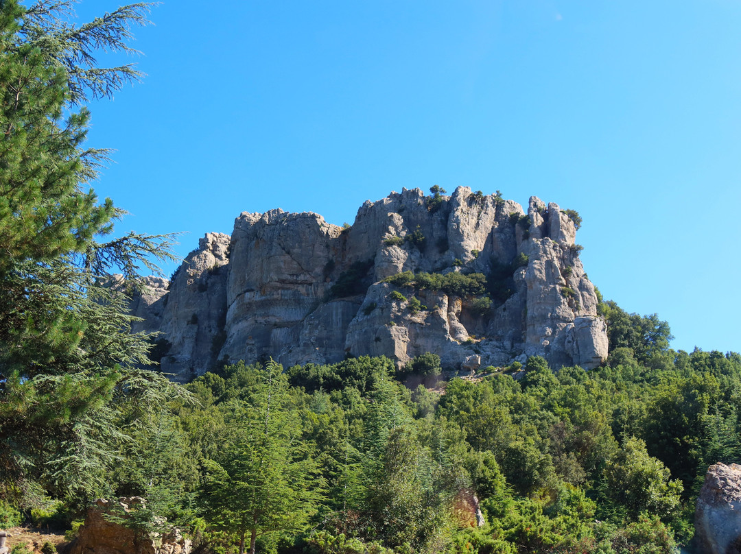 Monte Novo San Giovanni-Orgosolo必去景点