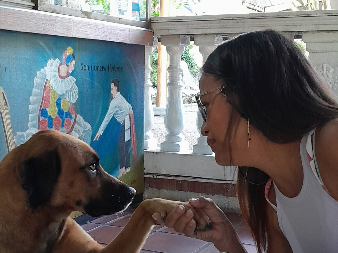 Hotel Campestre Los Gabrieles主图