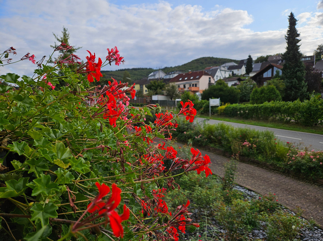 Weingut Raevenhof景点图片