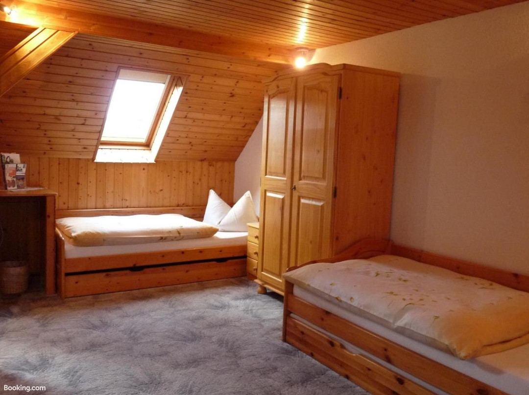 Pension a la Kleinert主图