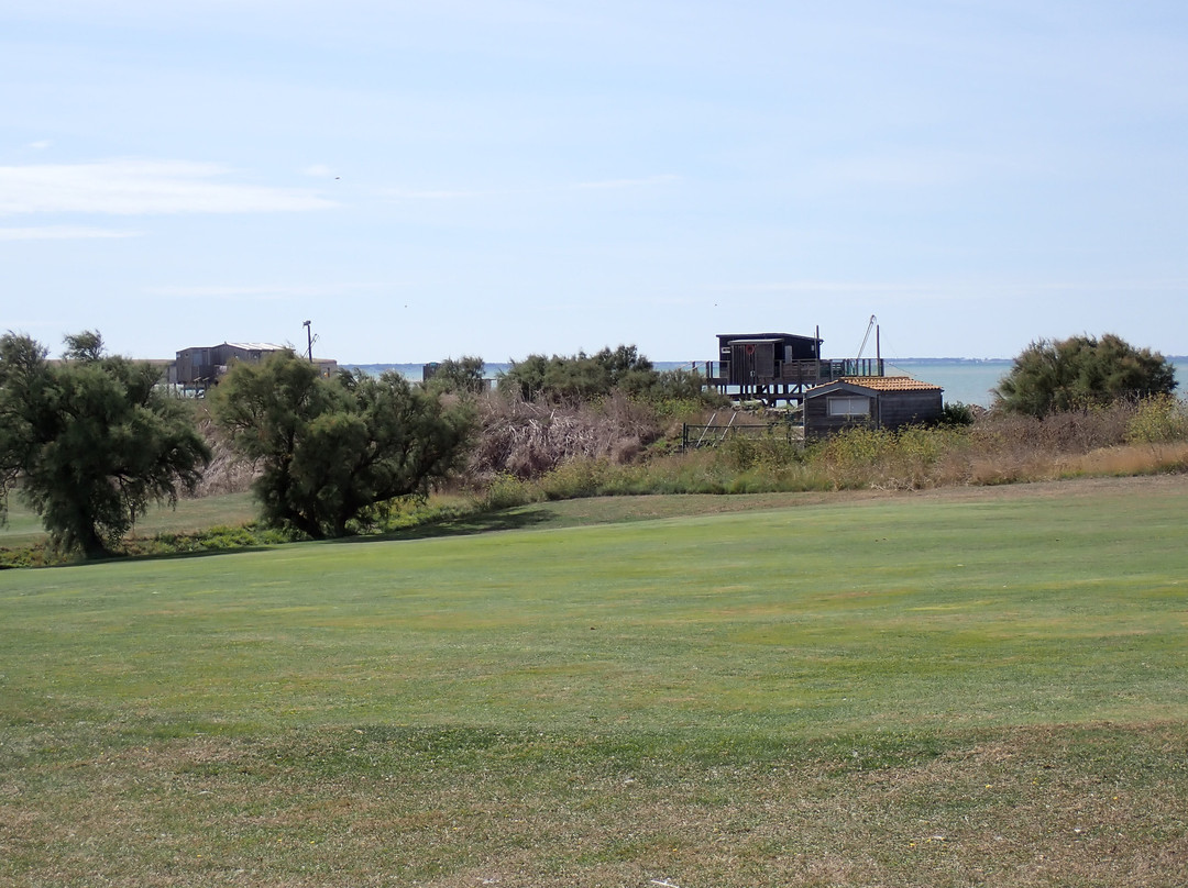 Golf de La Pree La Rochelle景点图片