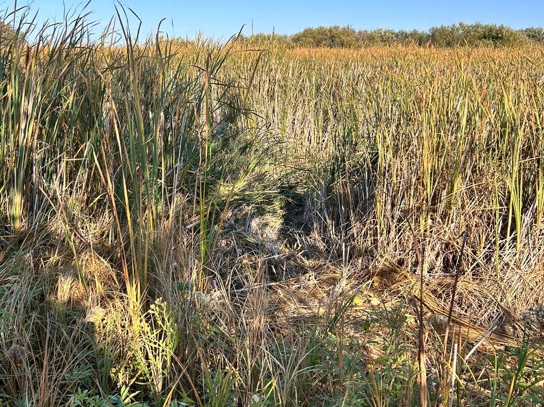Lundar Beach Provincial Park-Lundar必去景点