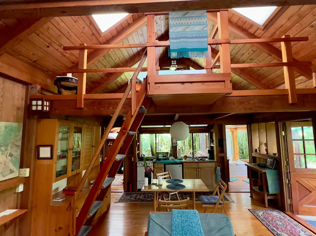 火山雨林休养所主图