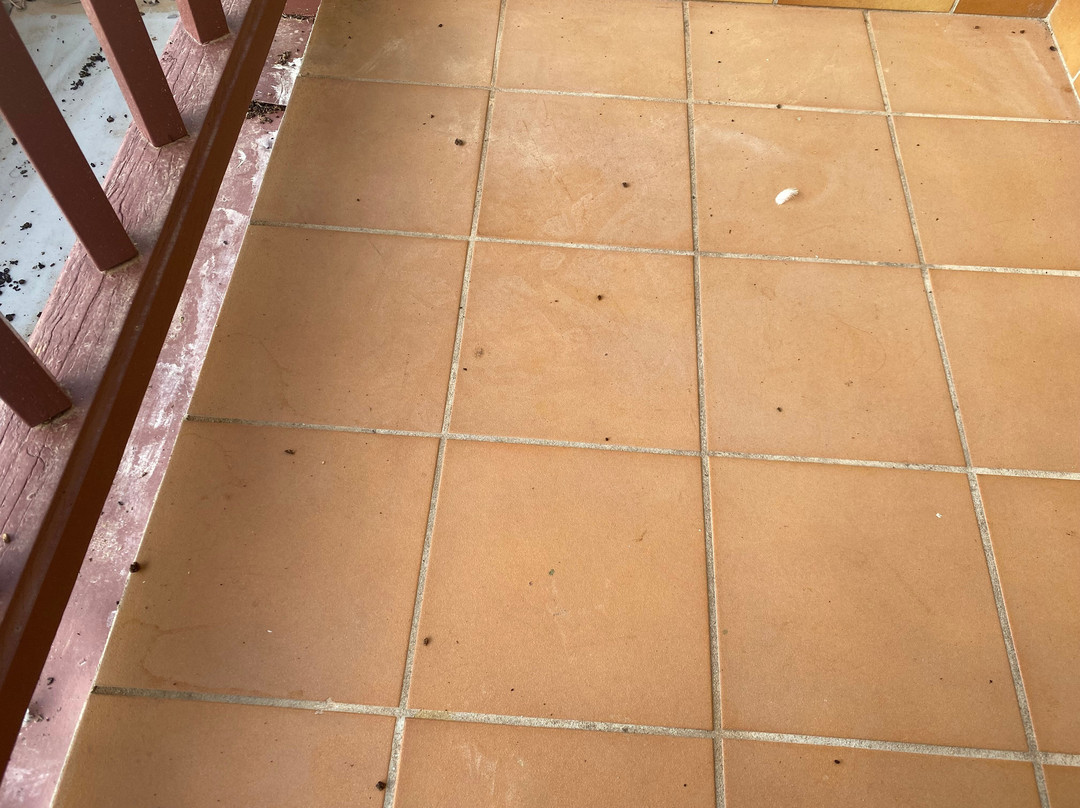 Le Suffren Hôtel主图