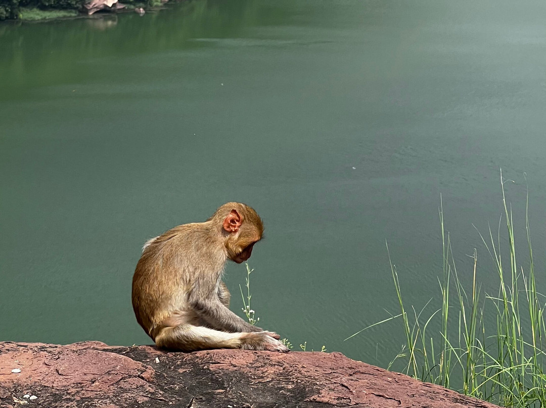 Garadia Mahadev Temple-科塔必去景点