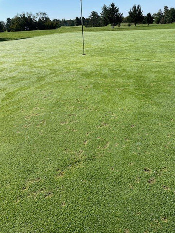 Cedar Ridge Golf Course-葛底斯堡必去景点