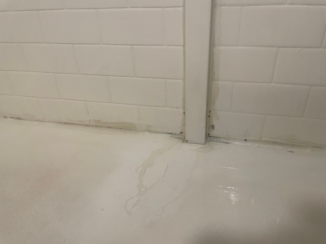 Hampton Inn & Suites Albany Airport主图