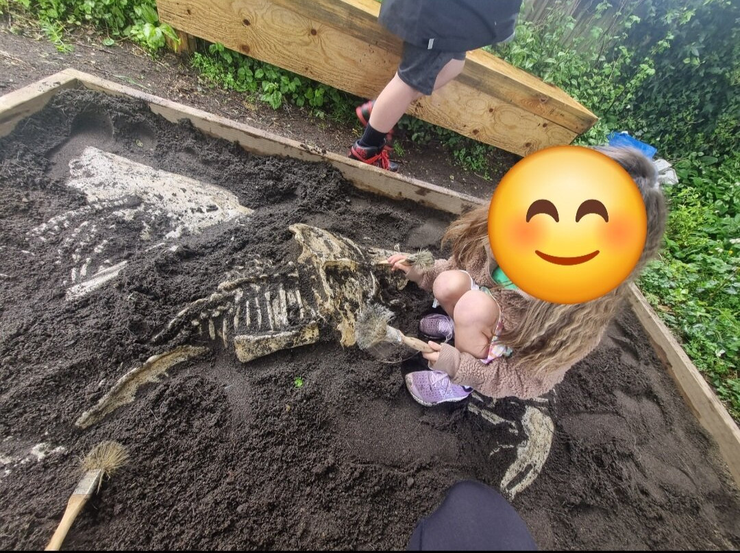 Dinosaur House-Raetihi必去景点