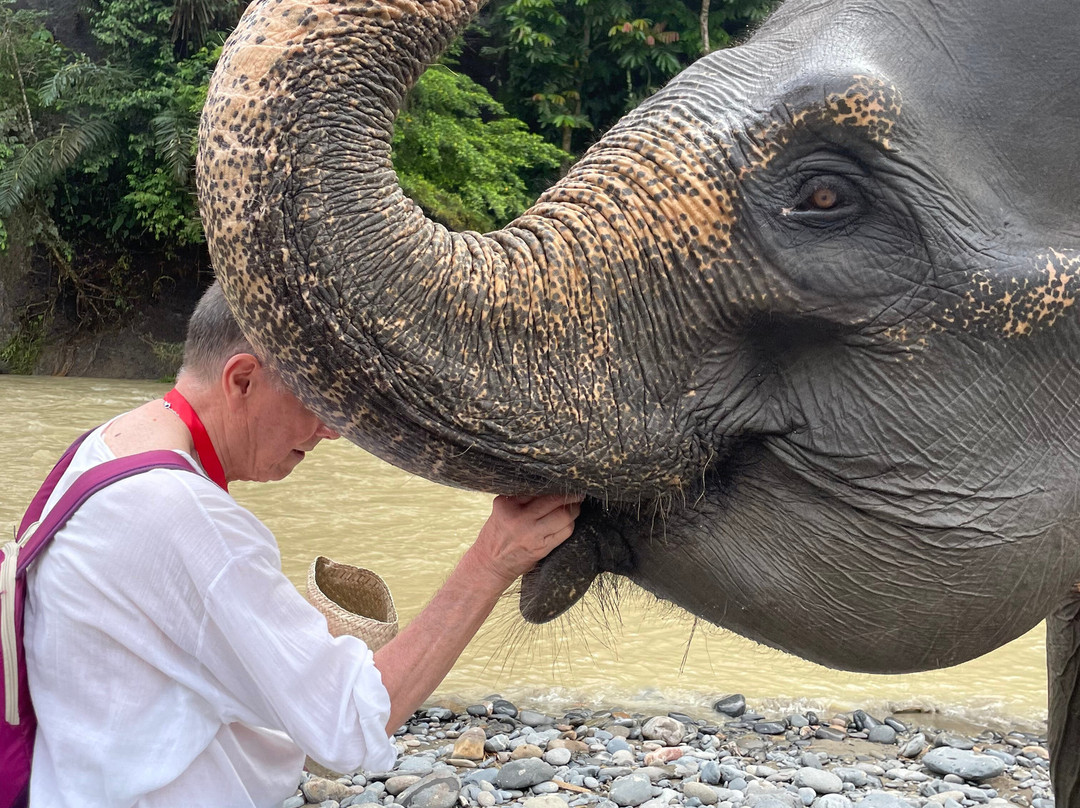 Elephant Camp-Tangkahan必去景点
