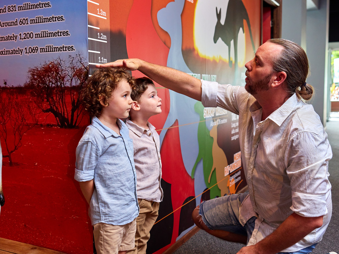 Cairns Koalas & Creatures-凯恩斯必去景点