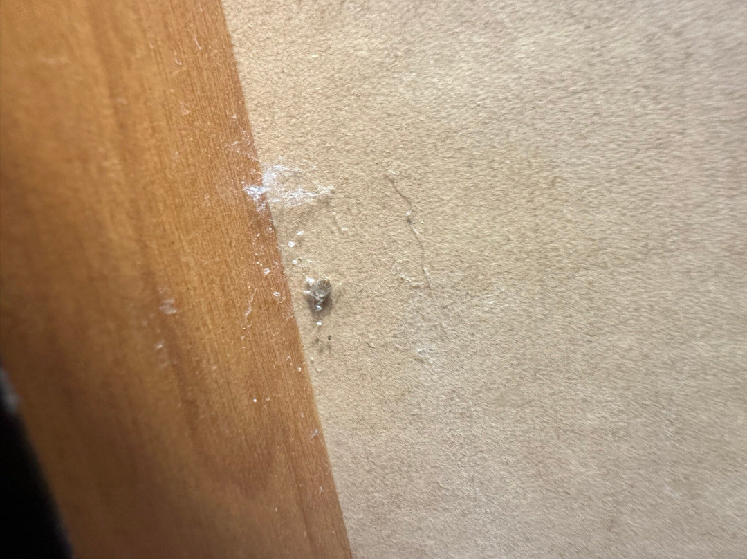 Quality Inn & Suites I-81 Exit 7主图