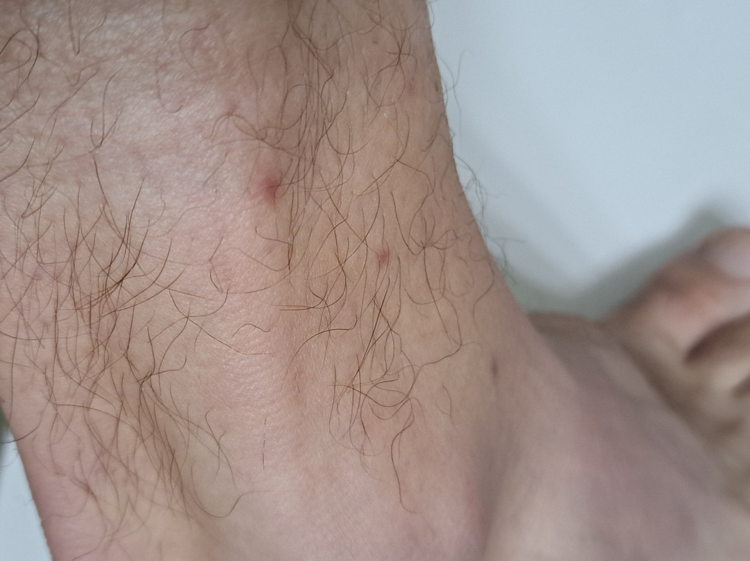 Gateway Park Hotel & Suites主图