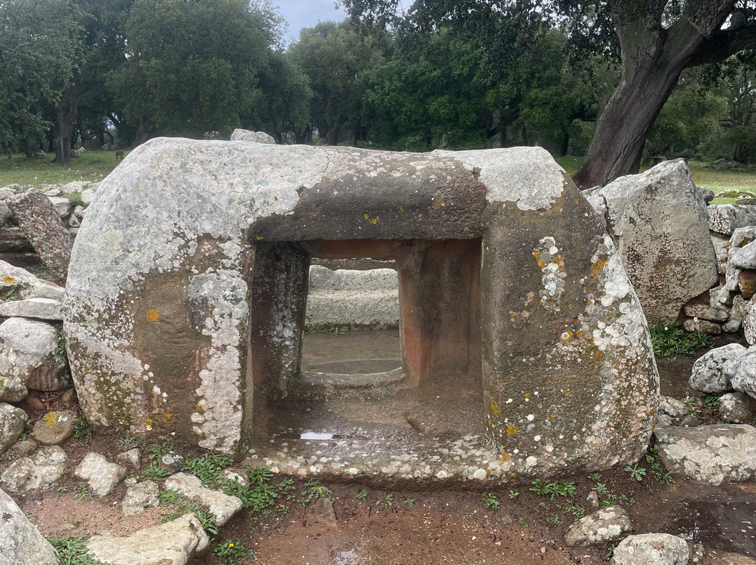 Necropolis of Pranu Muttedu-Goni必去景点