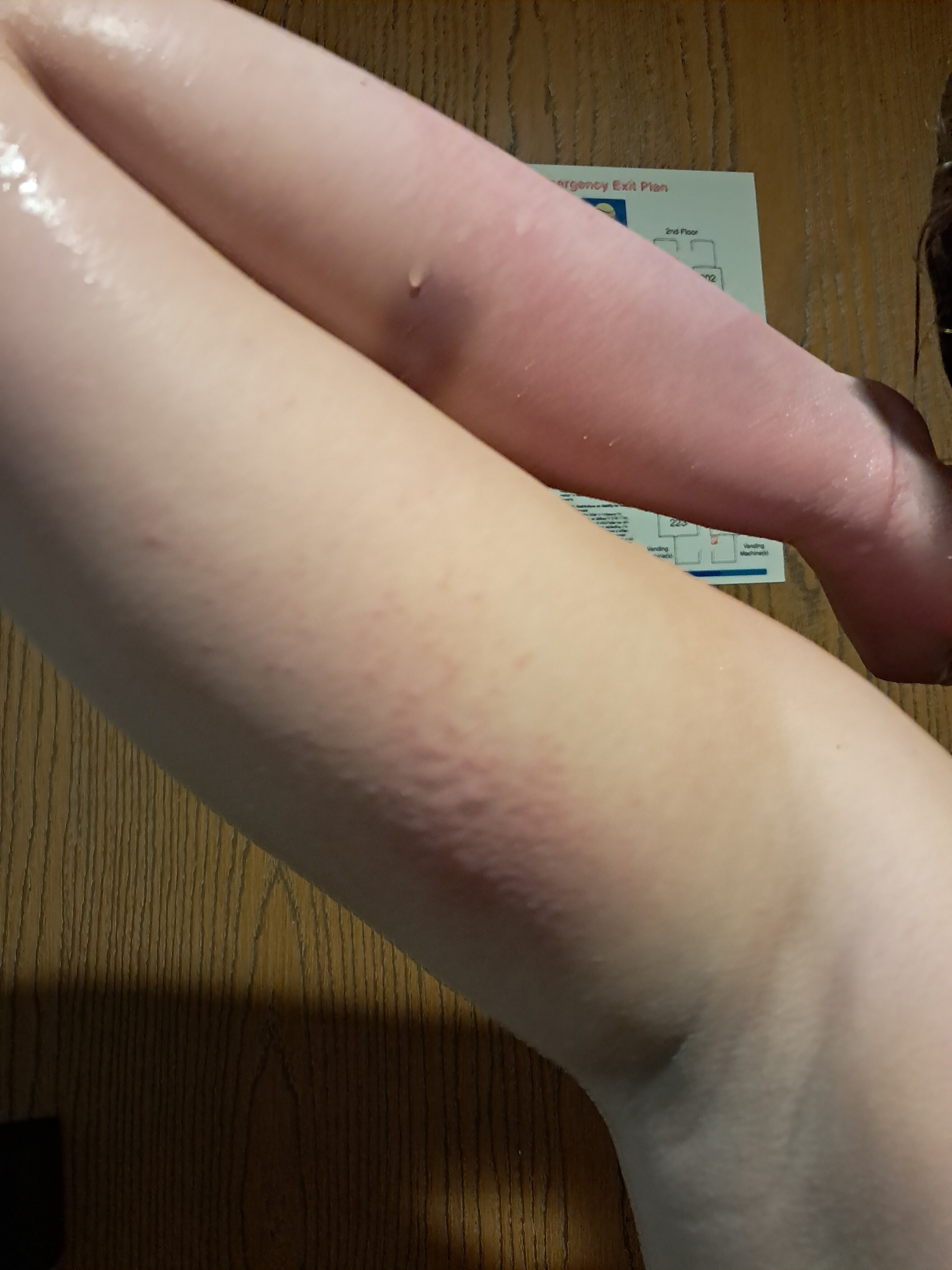 Comfort Inn & Suites-官方