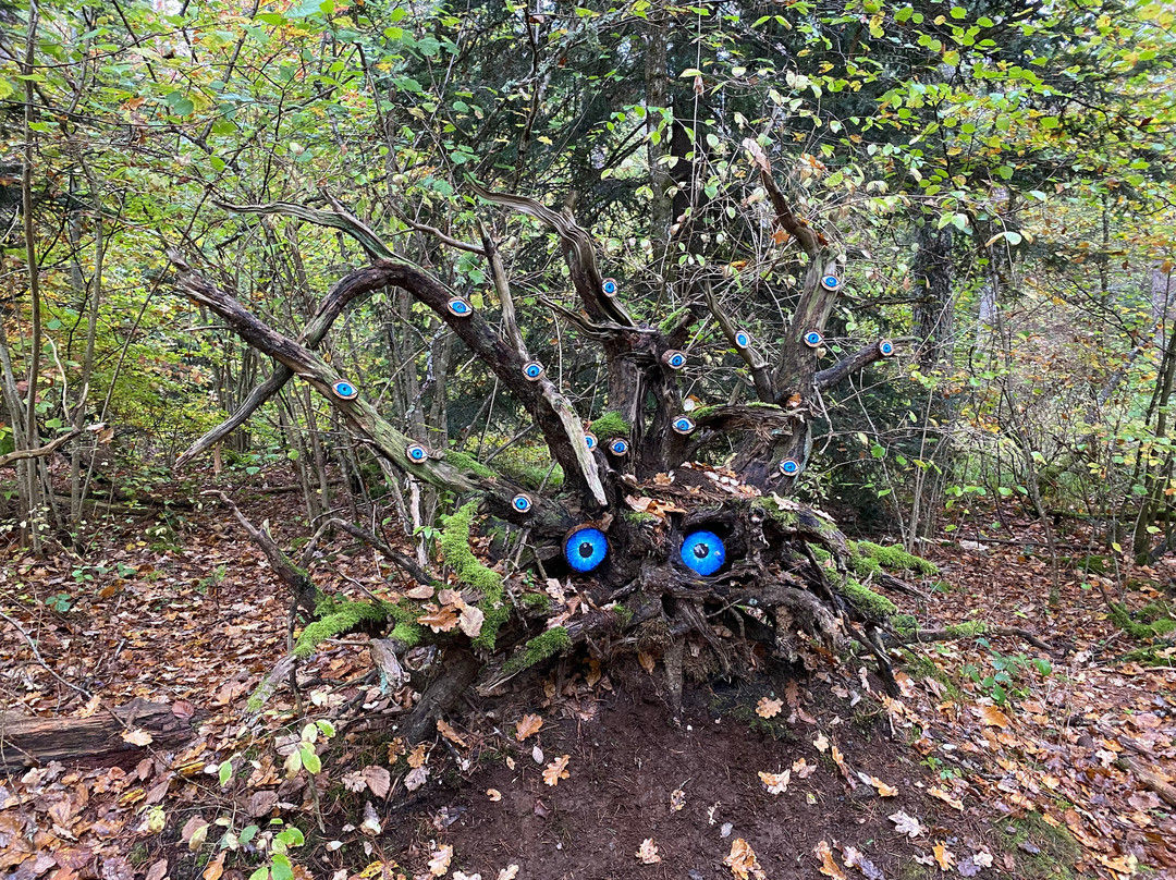 La Forêt Des Arboris景点图片