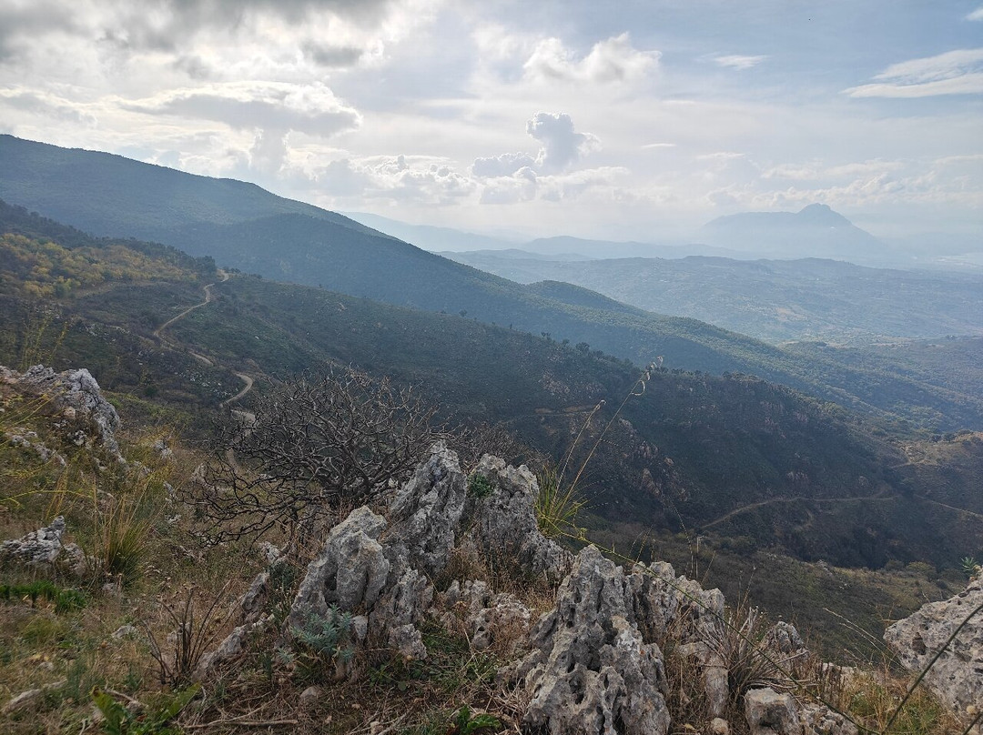 Parco delle Madonie景点图片