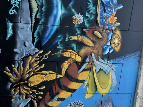 Akumal Art Walk-艾库玛尔必去景点