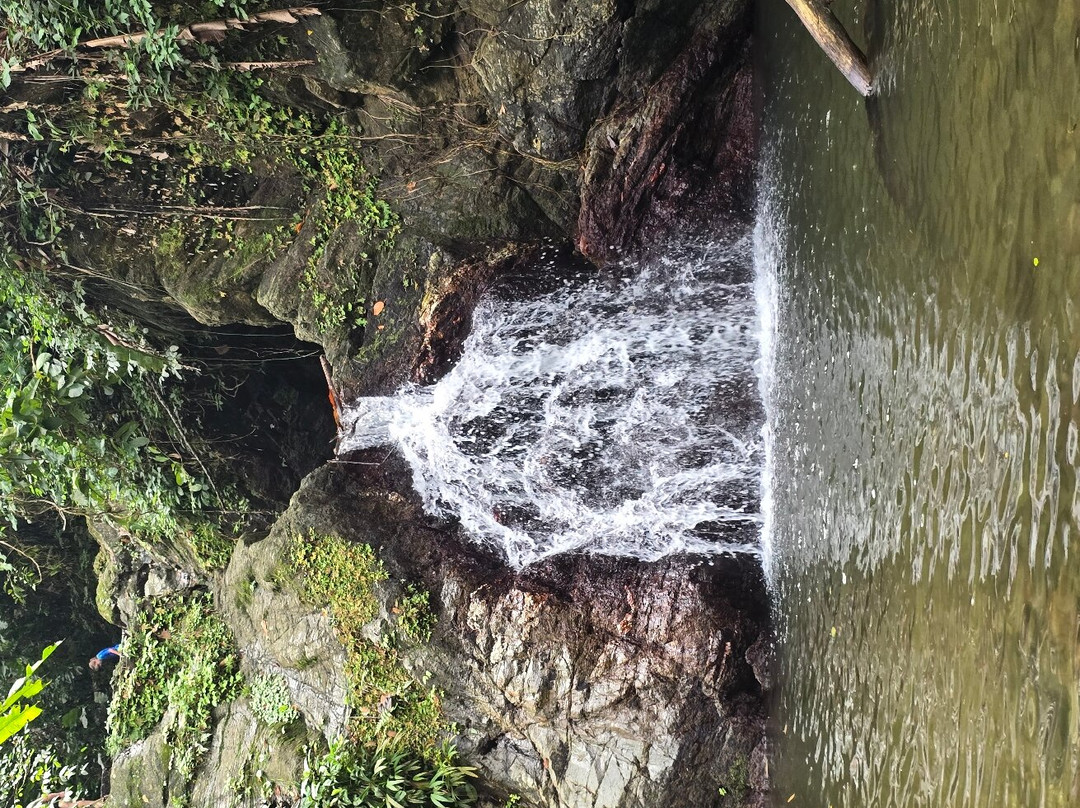 Woody Tours Tobago-Mason Hall必去景点