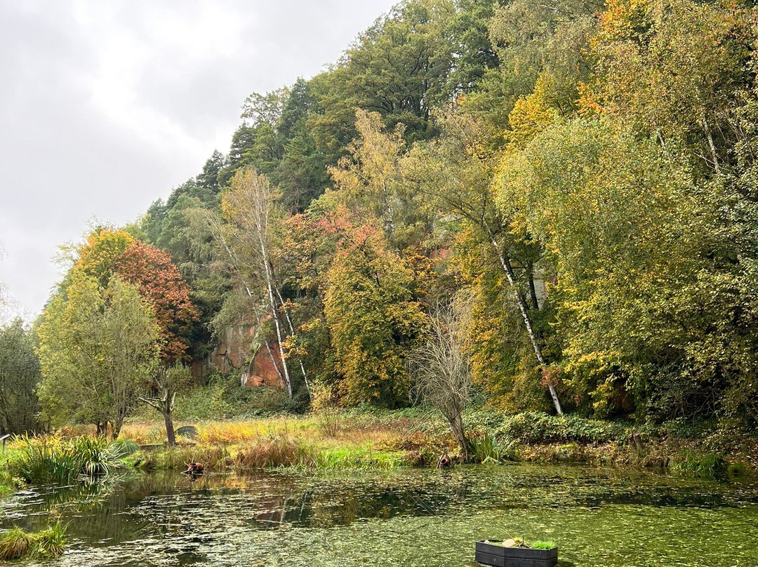 Gartenschau Kaiserslautern景点图片