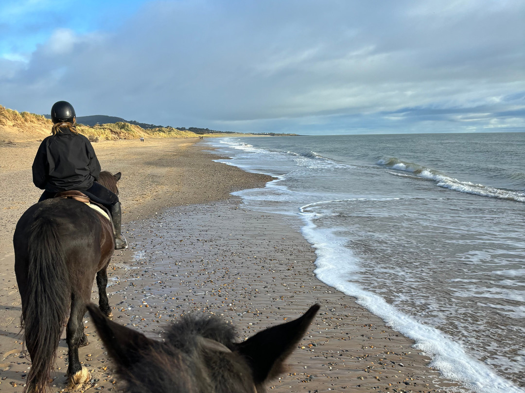 Wicklow Equi Tours-Glenealy必去景点