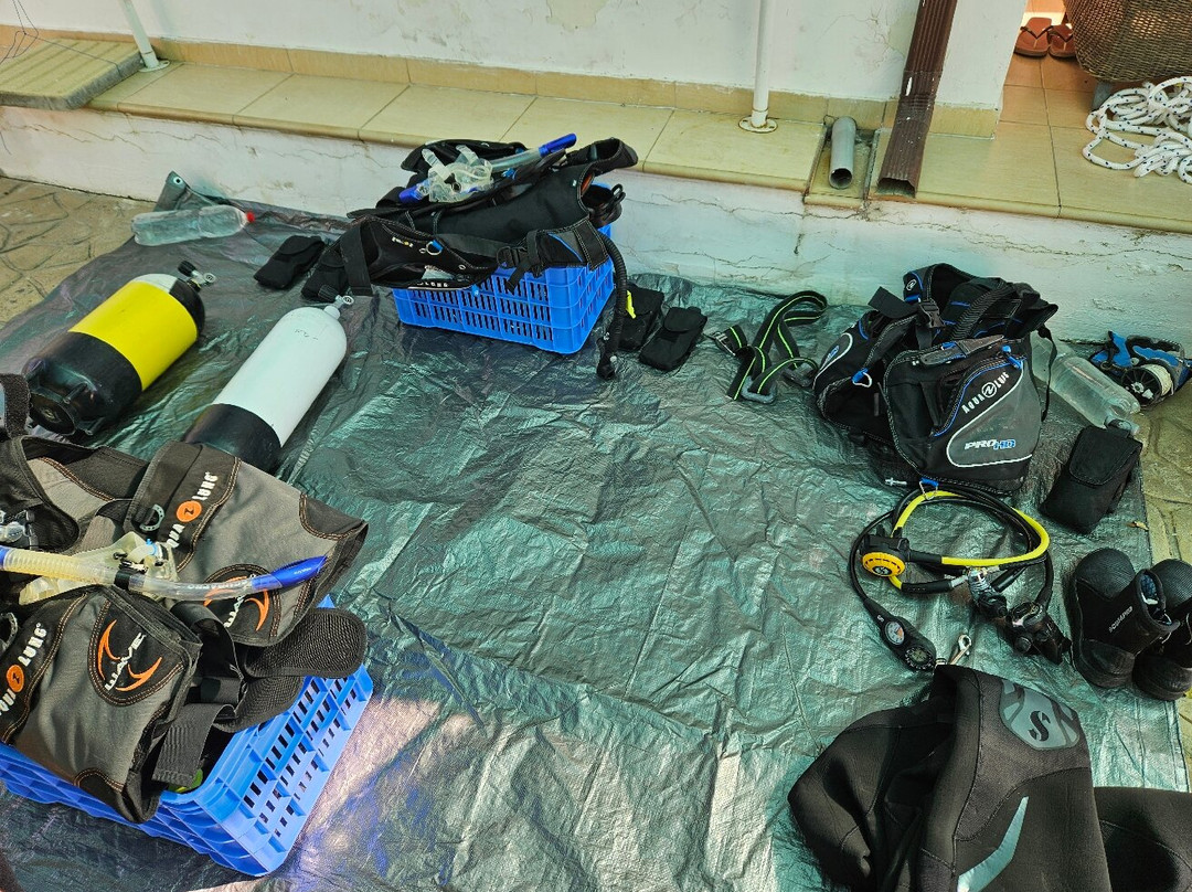 Freedom Divers Cyprus-Anarita必去景点