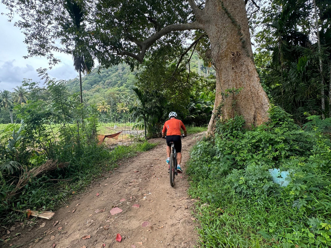 EllaXC MTB Sri Lanka-埃勒必去景点