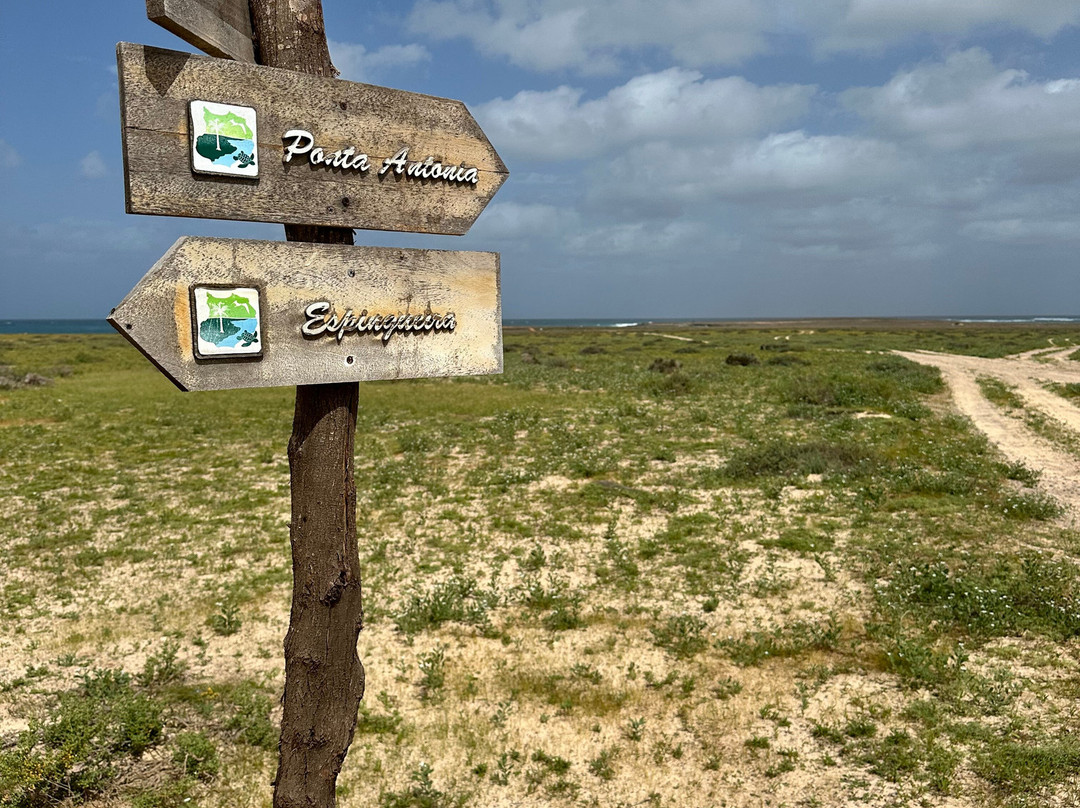 Spinguera Ecolodge主图