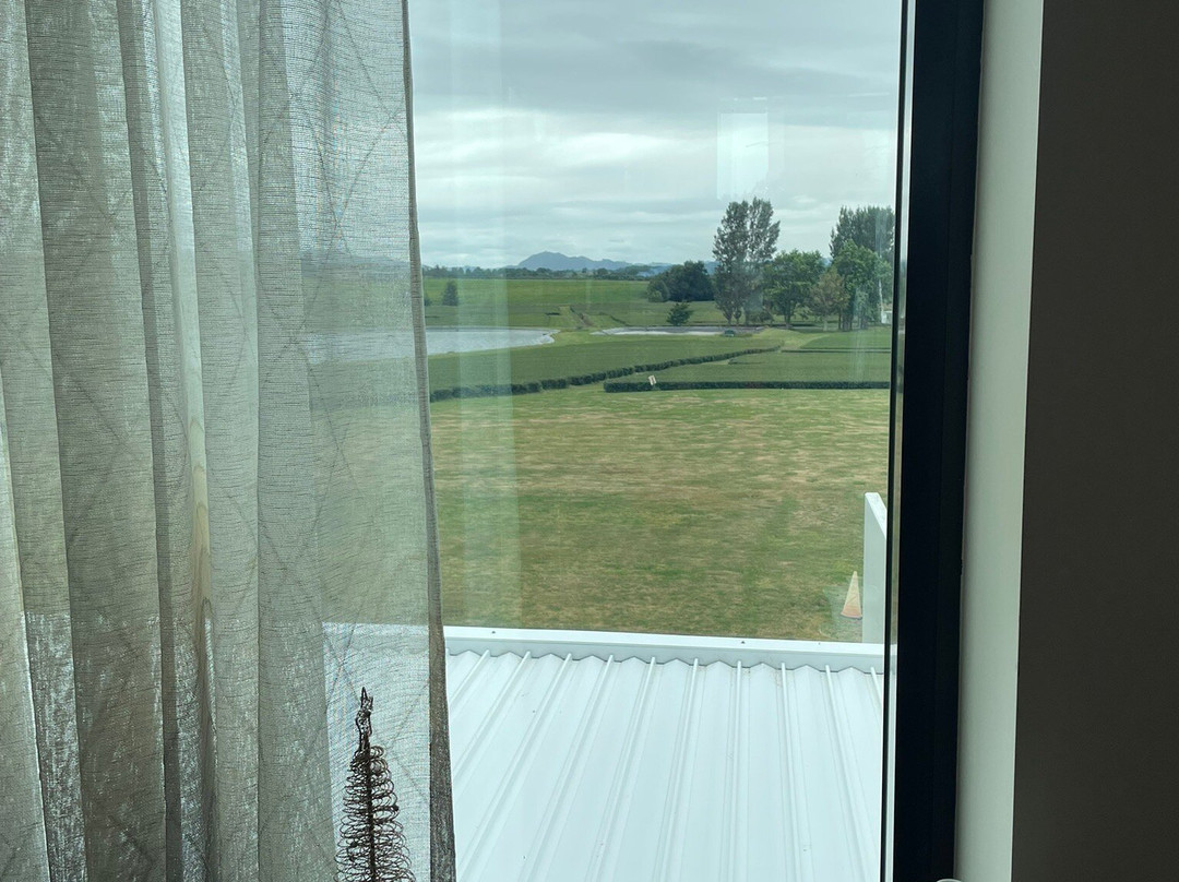 Zealong Tea Estate-汉密尔顿必去景点