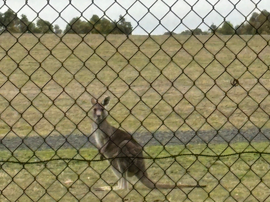 Hanging Rock Reserve-Woodend必去景点