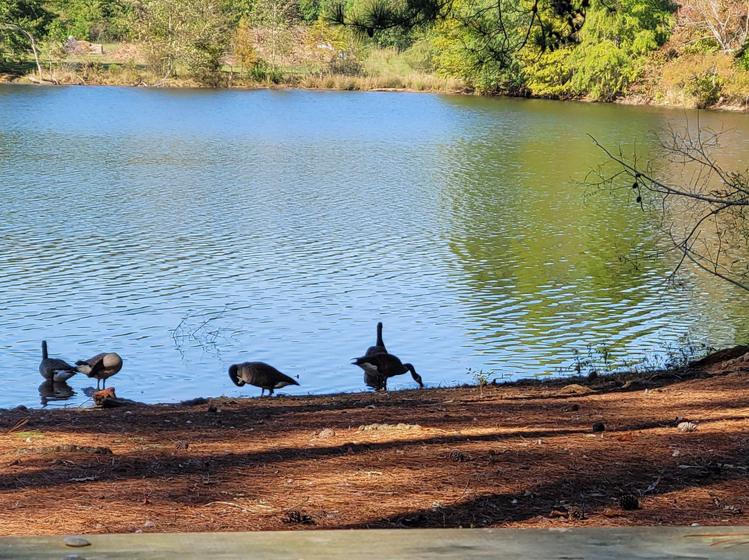 Monastery of the Holy Spirit-Conyers必去景点