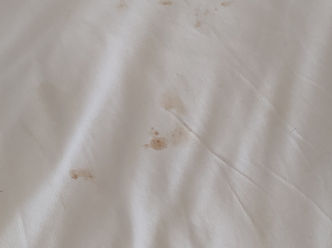 Hampton Inn Lumberton主图