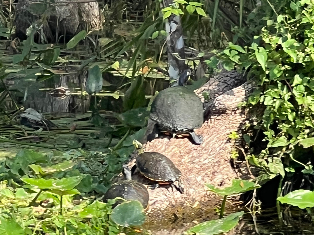 Captain Rob-Silver Springs必去景点