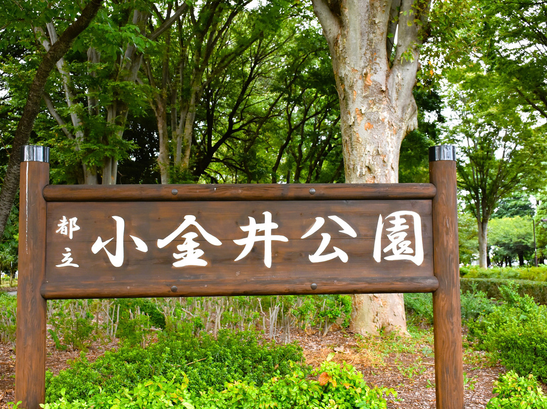 Tokyo Metropolitan Koganei Park-小金井市必去景点