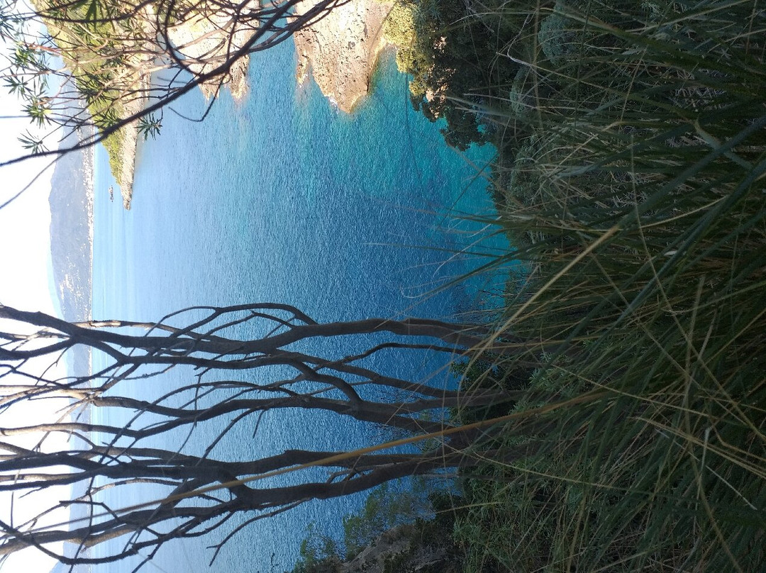 Il Sentiero Apprezzami l'Asino景点图片