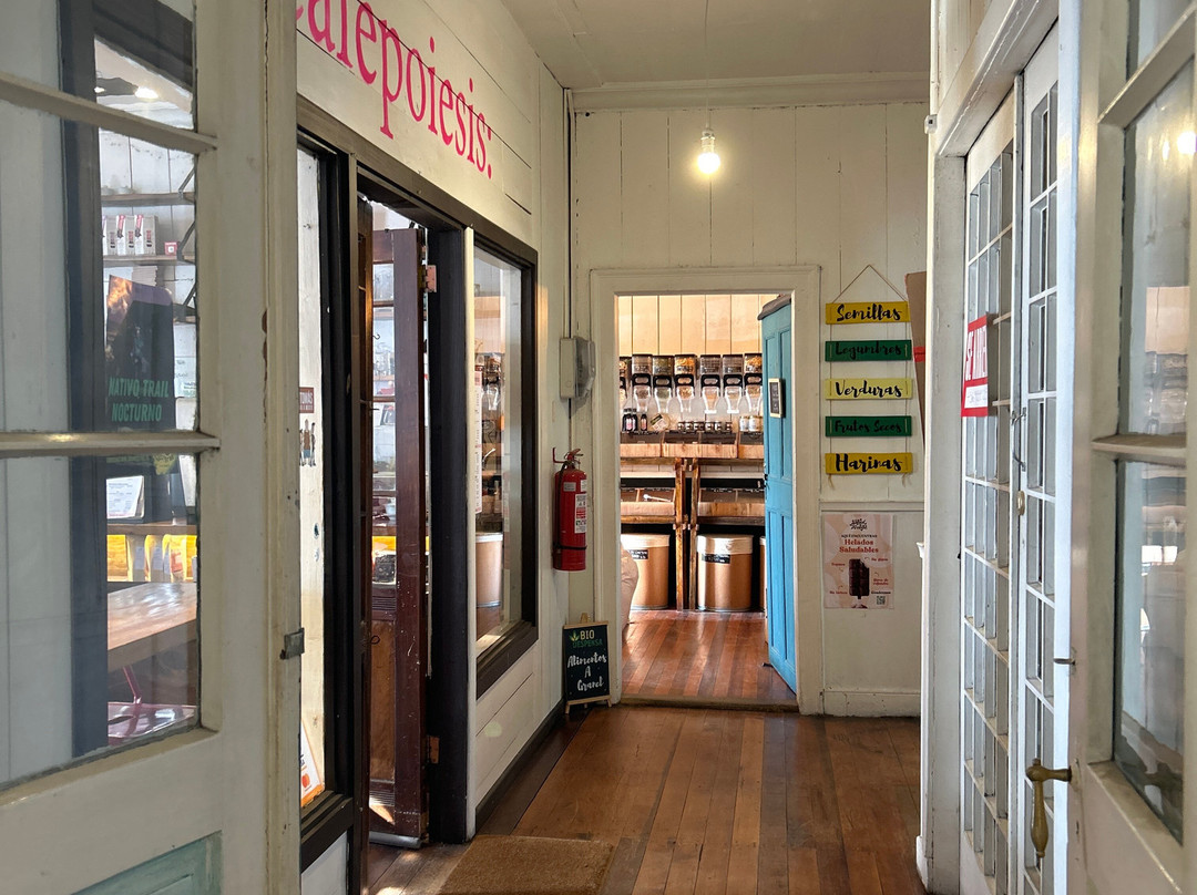 Casa Plumas-瓦尔迪维亚必去景点