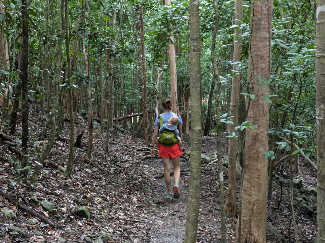 Cinnamon Bay Nature Trail-维尔京群岛国家公园必去景点