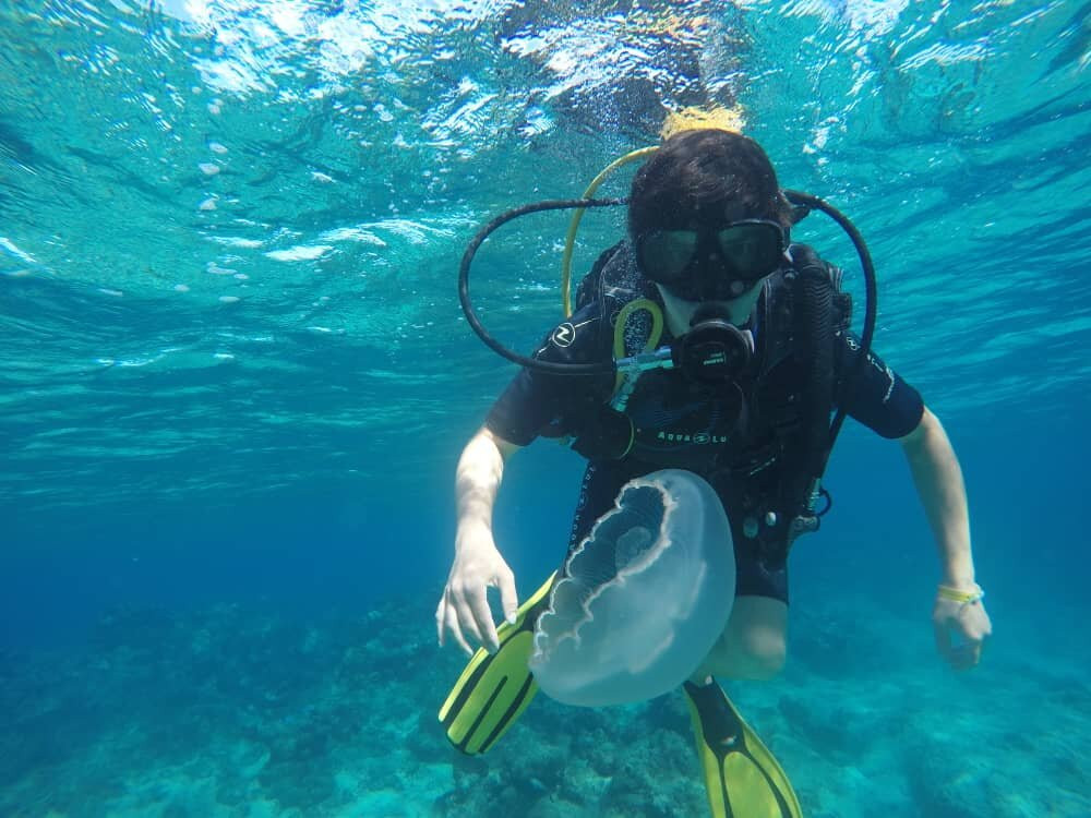 UnderwaterCuba景点图片