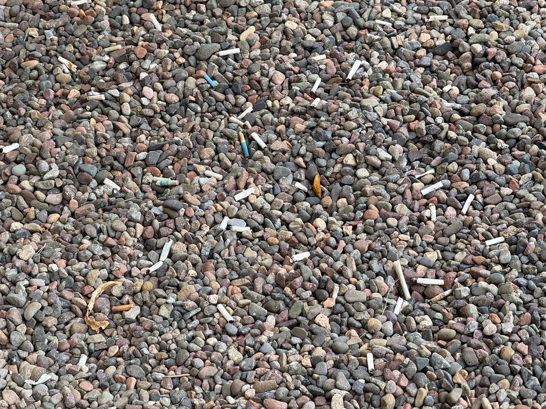 Enjoy Coquimbo Hotel de la Bahia主图