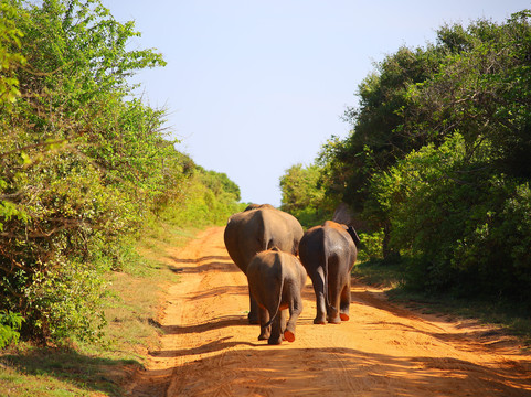 Nature Lovers-蒂瑟默哈拉默必去景点
