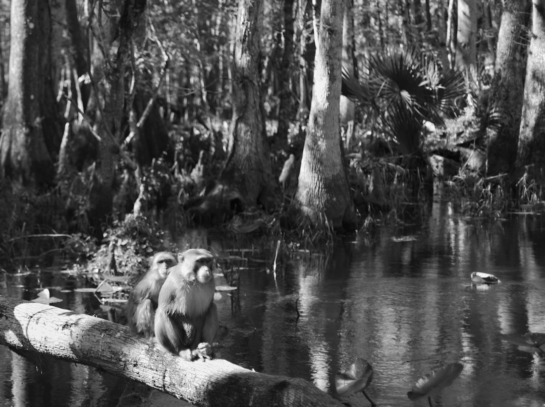 Captain Rob-Silver Springs必去景点