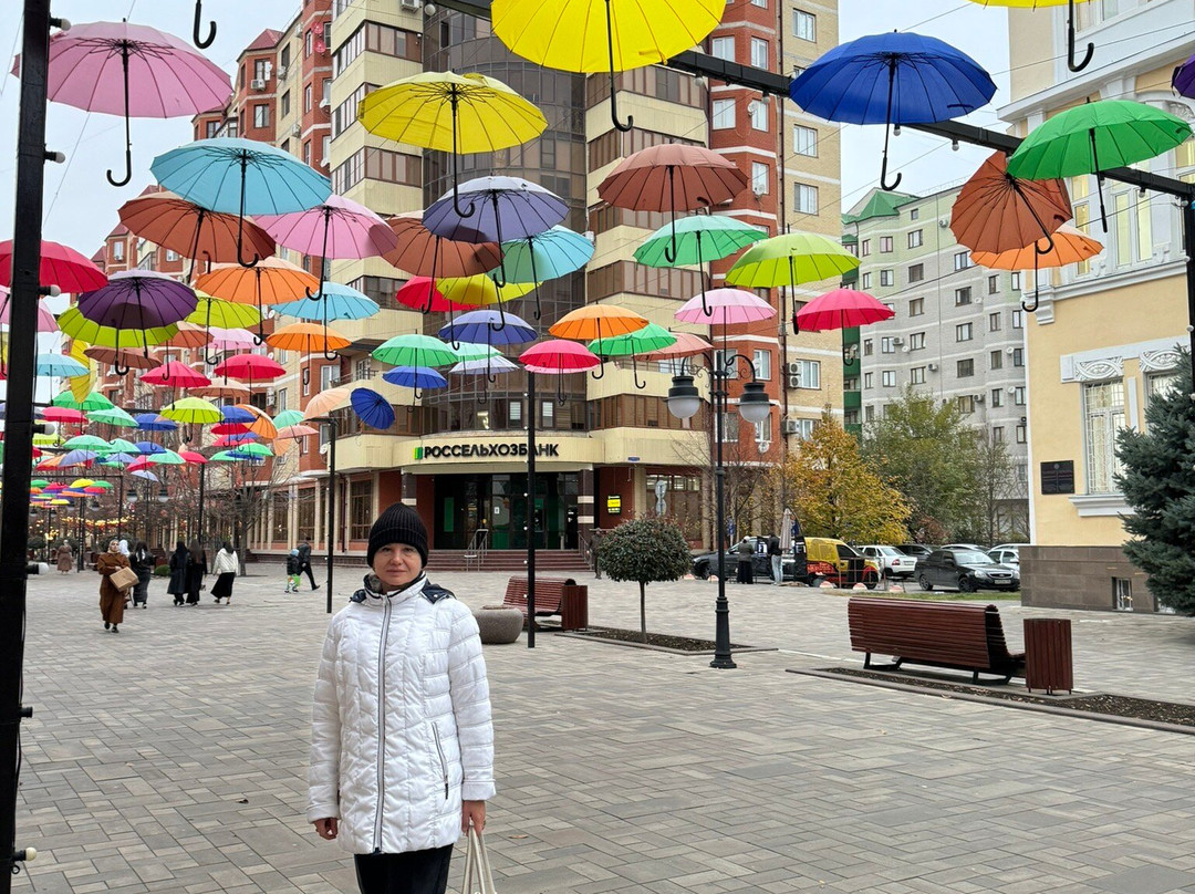 Makhmud Esambayev Avenue景点图片