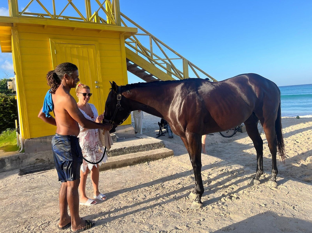 Garrison Savannah - Barbados Turf Club-布里奇顿必去景点