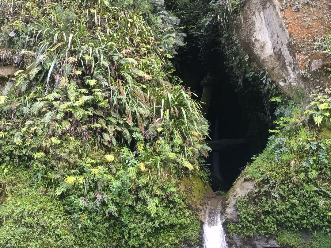 Bridge to Nowhere-Manawatu-Wanganui Region必去景点