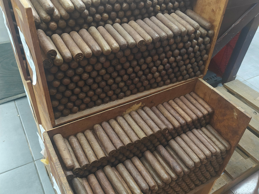 La Aurora Cigar Factory-圣地亚哥必去景点