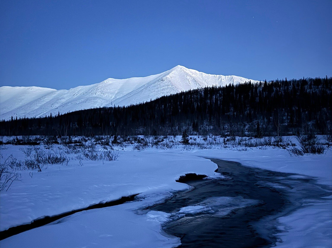 Arctic Safari景点图片