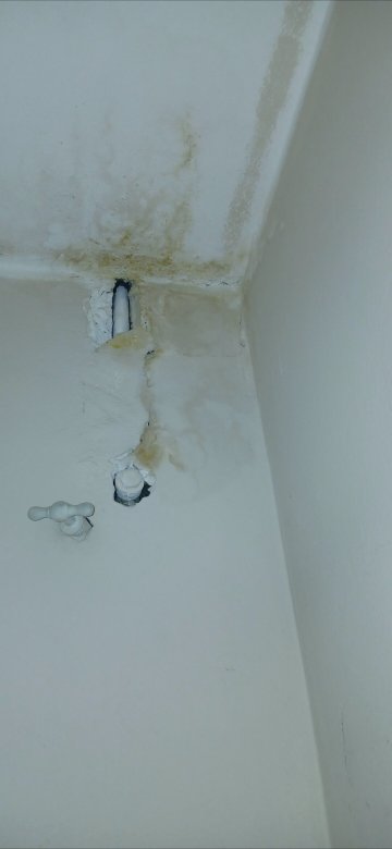 泛美大酒店-客卧