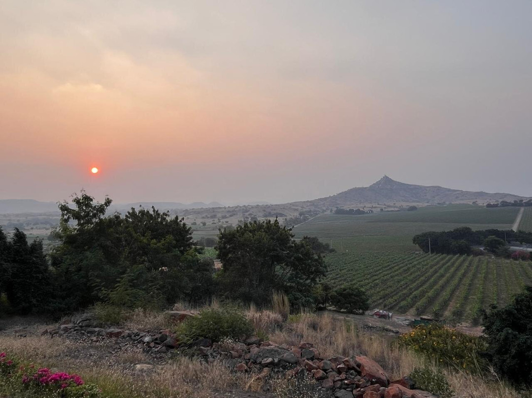 Fratelli Wines主图