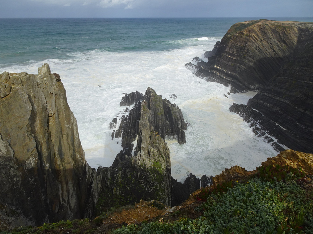 Cabo Sardão景点图片