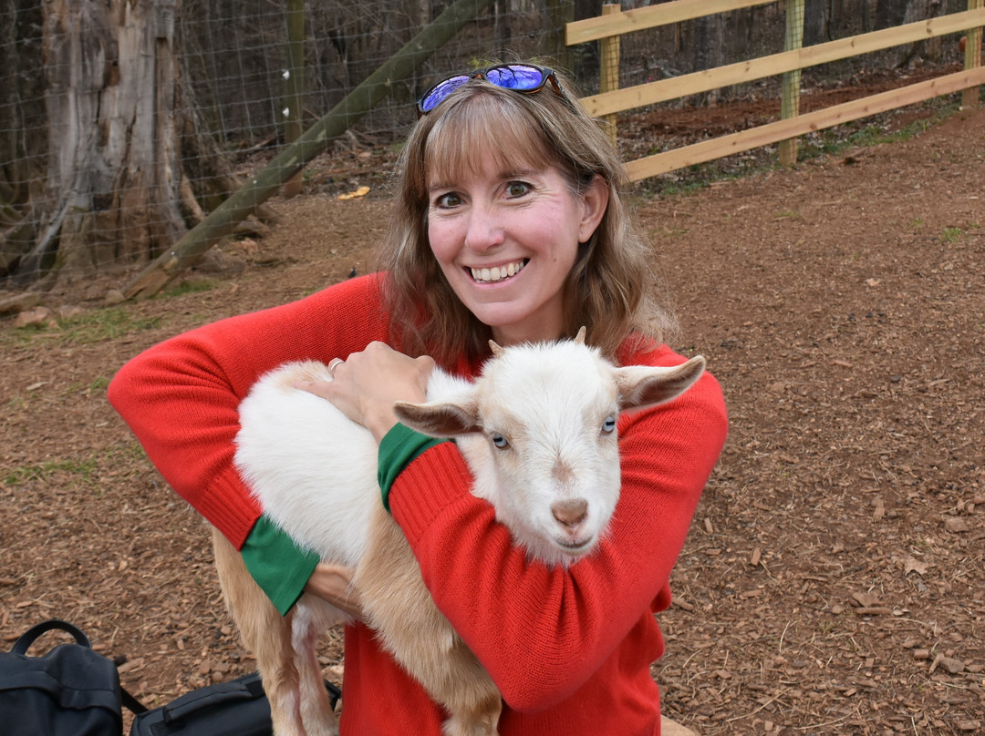 Spring Haven Farm-教堂山必去景点