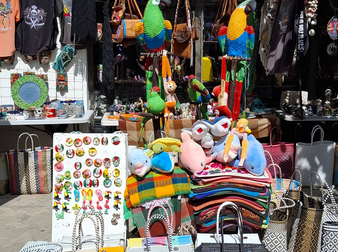 Oddities and Wall Art Isla Mujeres景点图片